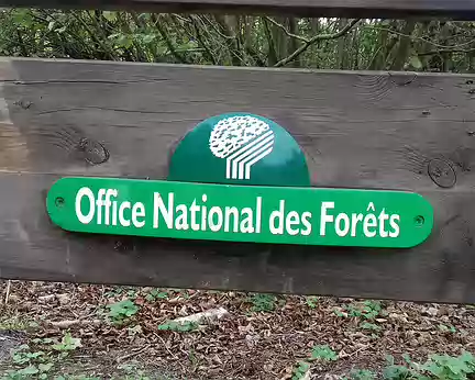033 La forêt est gérée par l’ONF